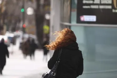 Alerta amarillo por viento para la madrugada y mañana del miércoles